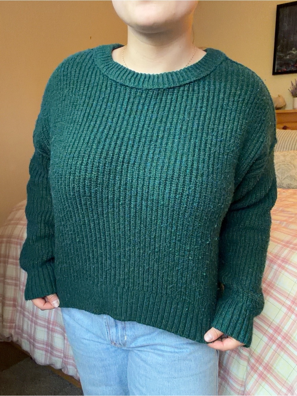 American Eagle Green Cropped Sweater